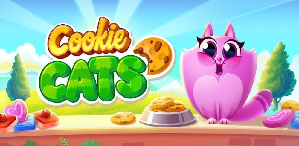chats de biscuits 1