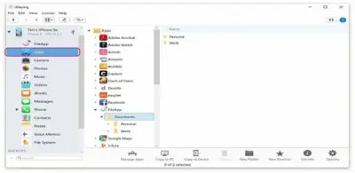 DigiDNA iMazing with Crack 1