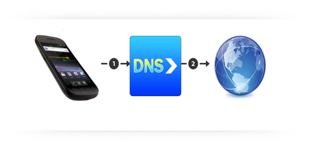 DNS forwarder Pro 1