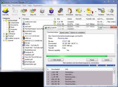 Internet Download Manager (IDM) Buong Bersyon 1