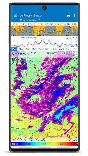 Flowx Weather Map Forecast App v3.290 [Pro]
