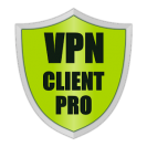 client VPN professionale