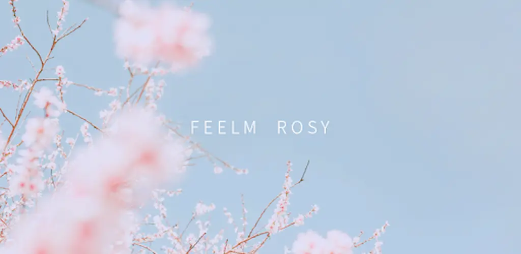 Feelm Rosy Analog Filters