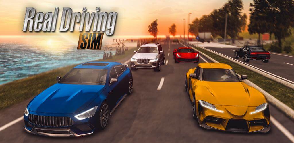 Real Driving Sim MOD APK