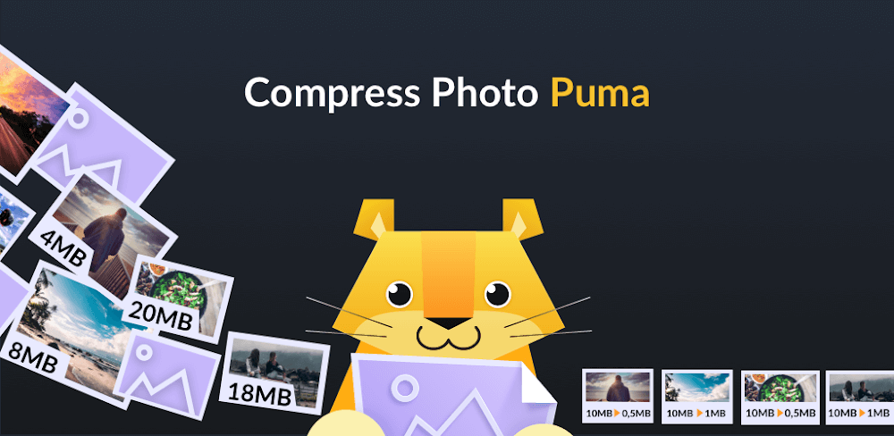 APK MOD máy nén ảnh Puma