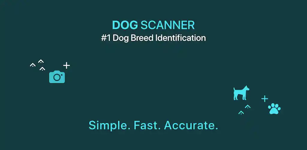 Распознавание породы собак сканером