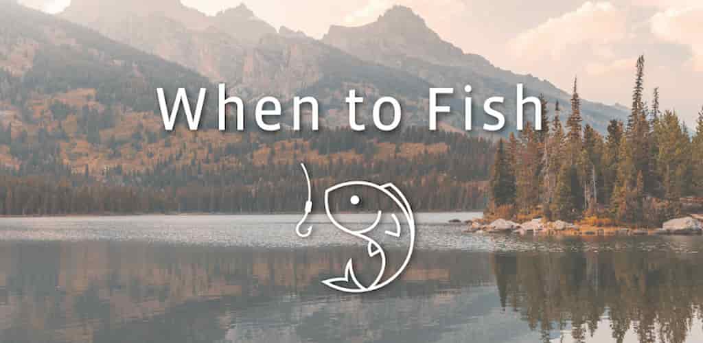 Khi nào câu cá