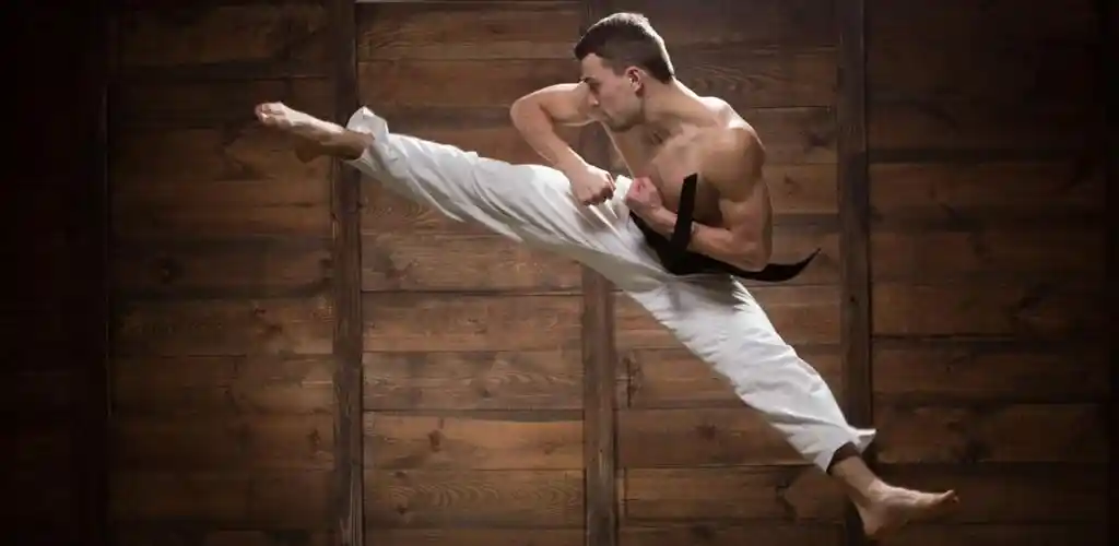 Taekwondo thuis beheersen Mod 1