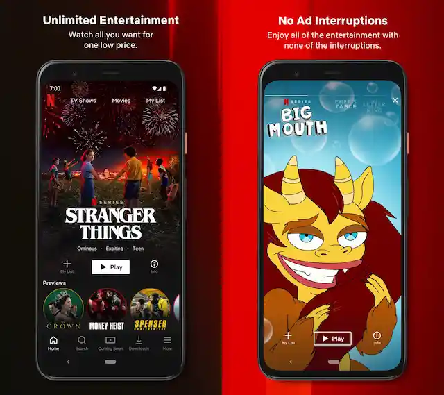 Netflix mod apk for android