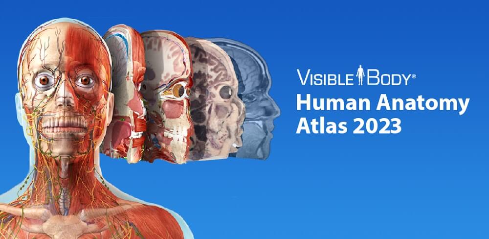 atlas de anatomía humana 2023