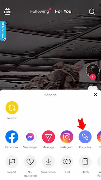 Free Tiktok Video Downloader 1