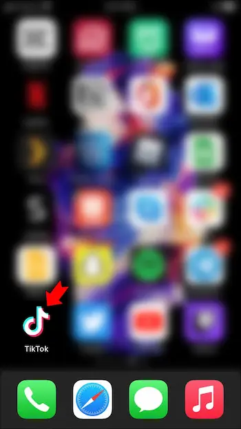 TikTok app 1