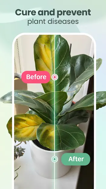 Blossom - Plant Identification MOD APK