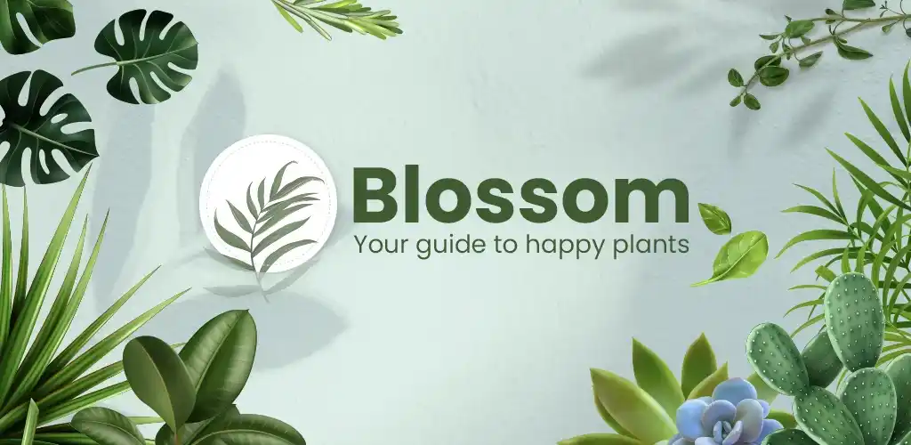 Blossom - Identificador de Planta Mod-1