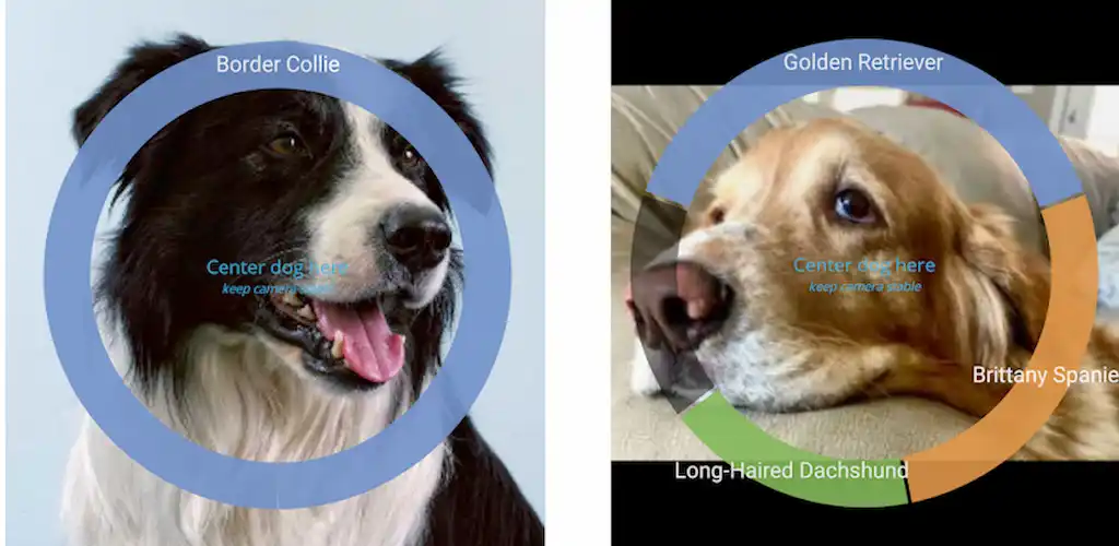 Download Identify Dog Breeds MOD APK (Pro Unlocked) Latest Version