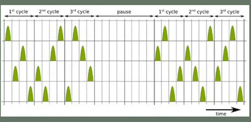 Tonal Tinnitus Therapy