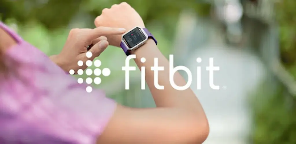 Fitbit Mod-1