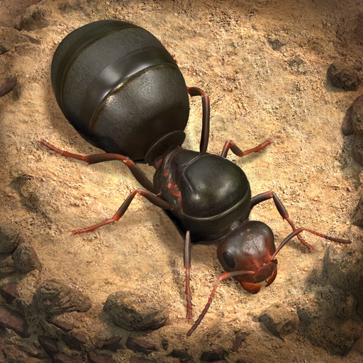 het ondergrondse koninkrijk van de mieren