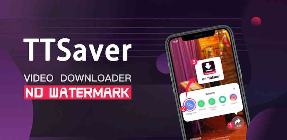 SnapTik TT Video Downloader1