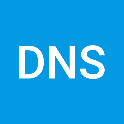 DNS 转换器 安全 VPN