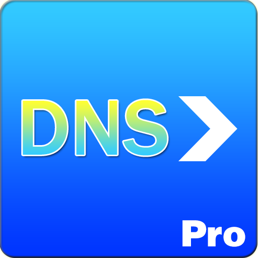 encaminhador de DNS pro