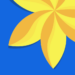 gallery-photo-gallery-album.png