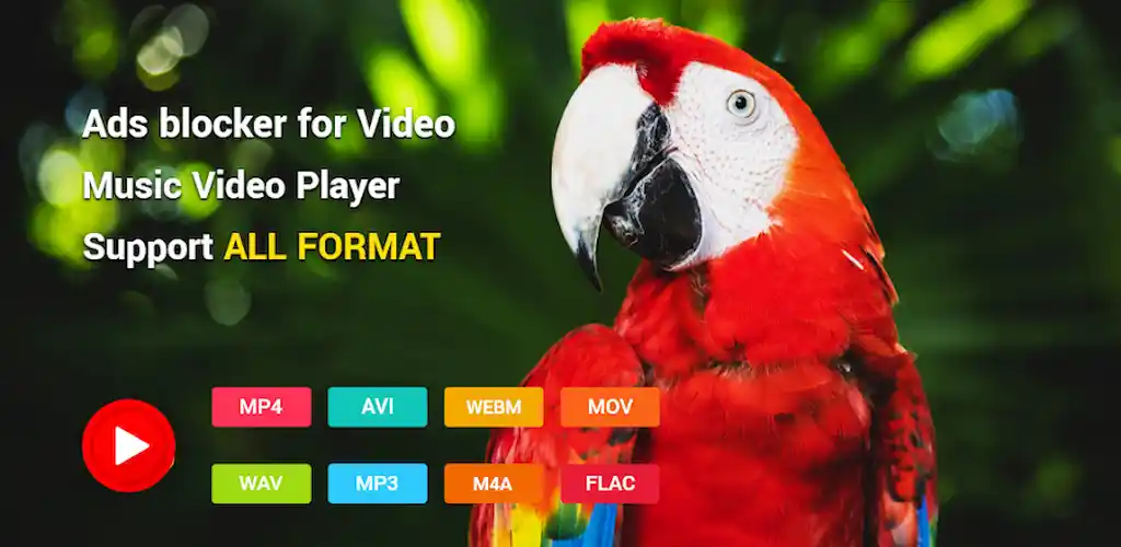 video player all format wtuber 1