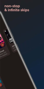 SpoTube APK (Spotify Client) 2