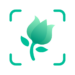 picturethis-plant-identifier.png