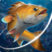 fishing-hook.png