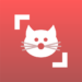 cat-scanner-breed-recognition.png