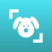 dog-scanner-breed-recognition.png