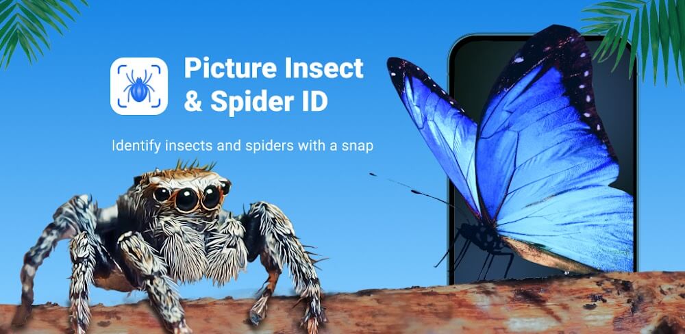 Download Picture Insect: Bug Identifier MOD APK (Premium Unlocked) Latest Version