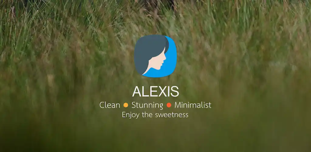 Alexis_ Minimalist Icon Pack