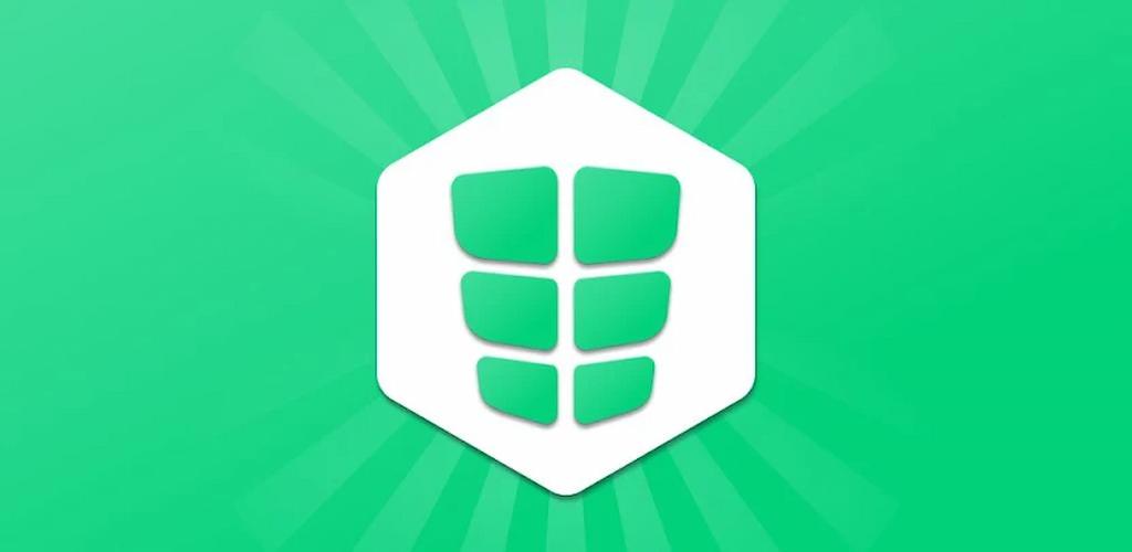 Absbee Core Stomach Workout