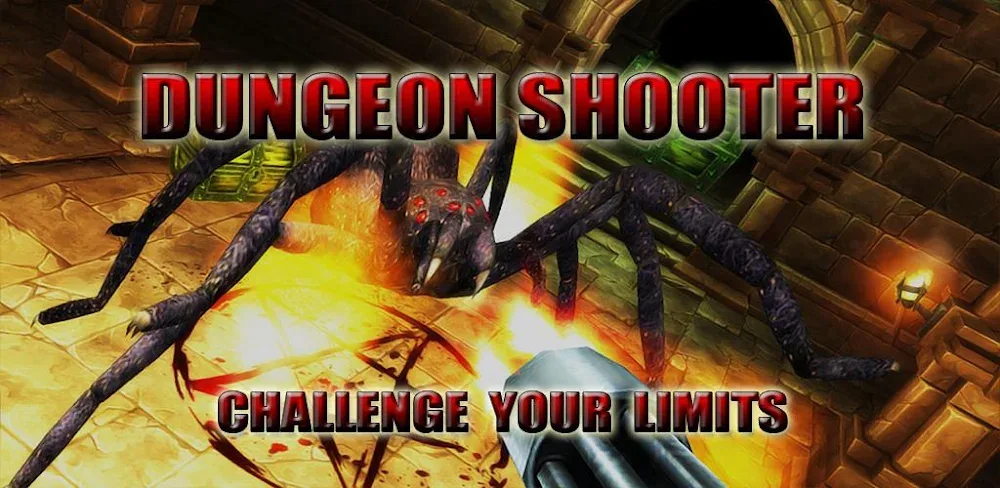 Dungeon Shooter Dark Temple