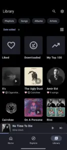 Metrolist MOD APK (Ad-Free Unlocked) 4